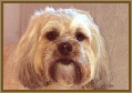 Testimonial 22 - Charlie